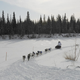 Image for article titled Highlights Of The 2010 Iditarod